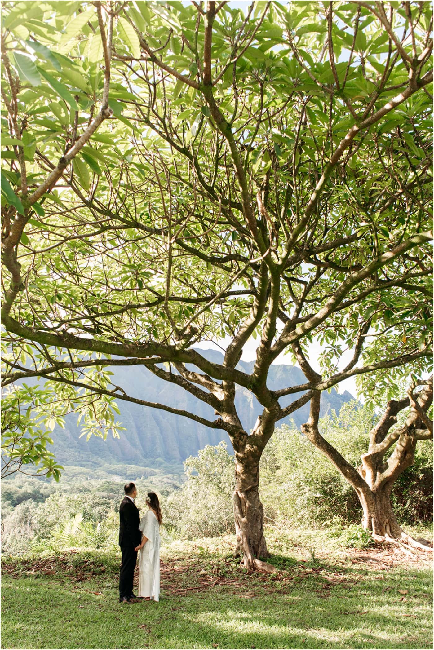 Oahu elopement by Emily Choy Photography