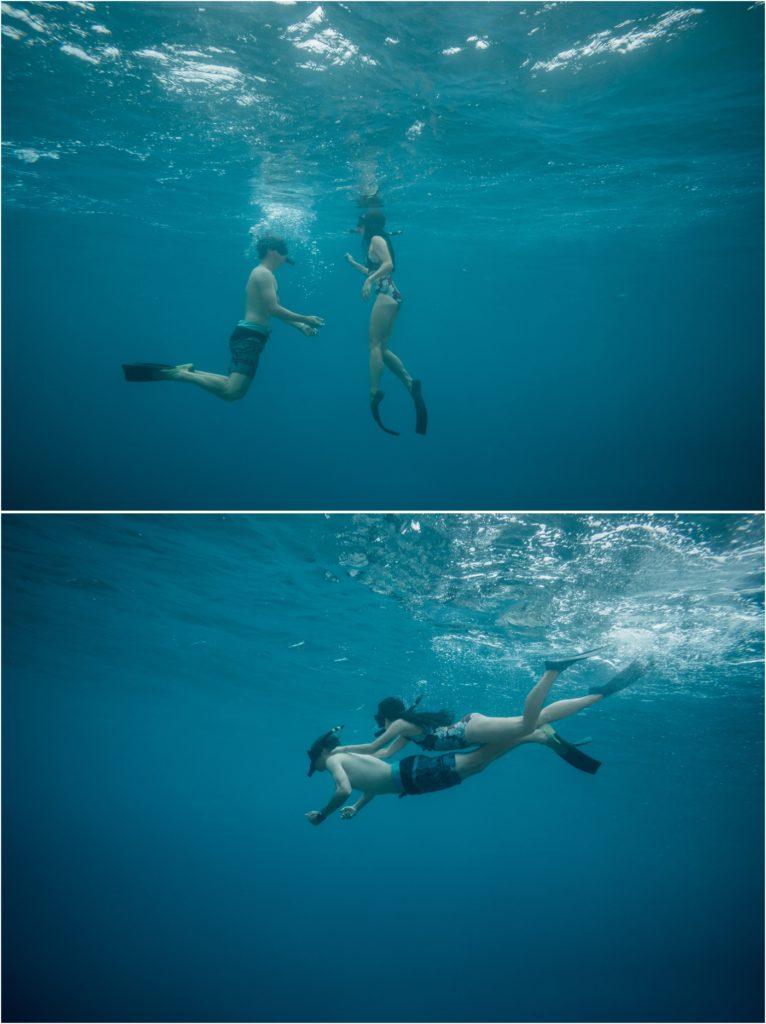 Underwater photographer - Oahu Hawaii