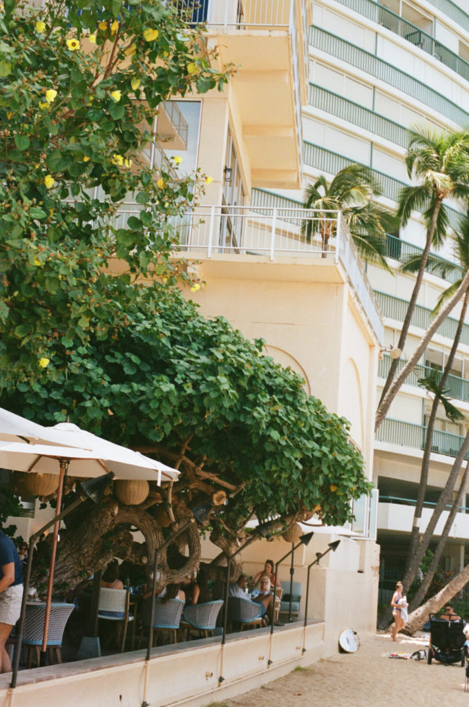 Film picture of the outide dining area of the Kaimana Beach Hotel