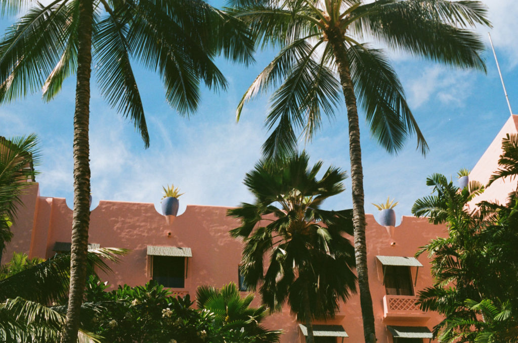 Film picture of palm trees outside the pink walls of the Royal Hawaiian Hotel