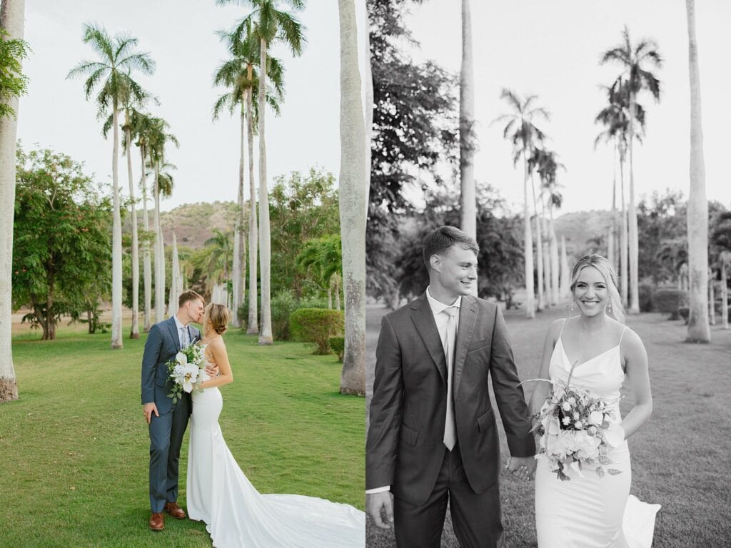 shots of bride and groom by the palm trees